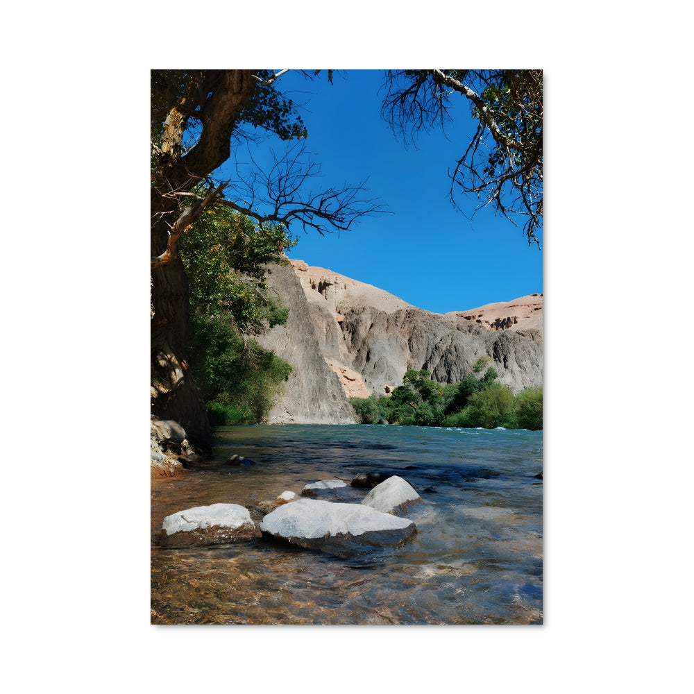 Poster Rivières de Charyn