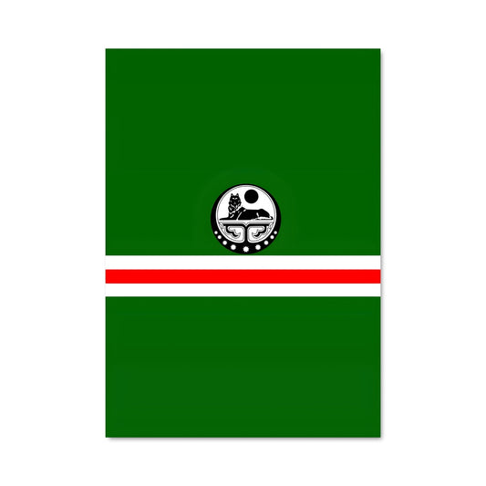 Poster L'Envol du Drapeau