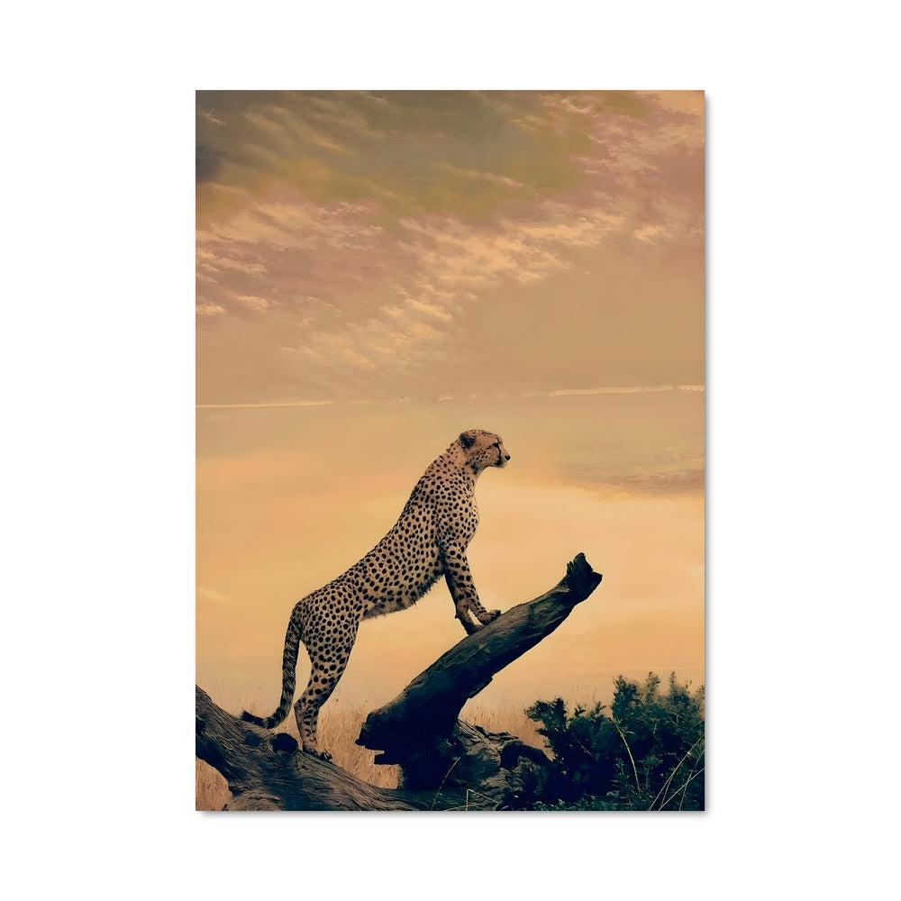 Poster Cheetah 83330