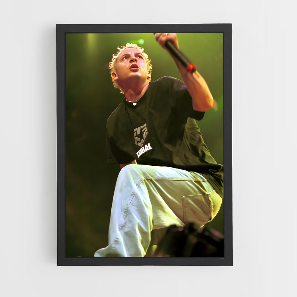 ap-chester bennington-1 cadre Noir