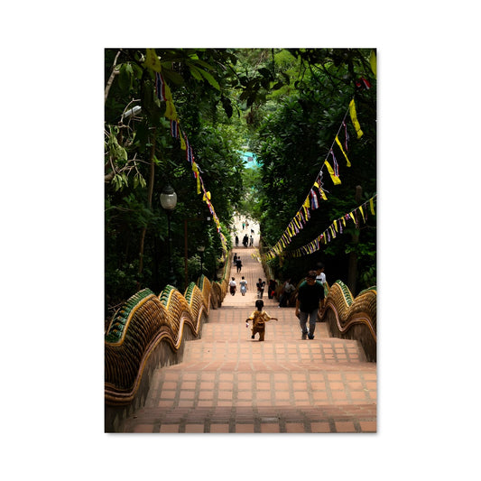 Poster Chien Sauvage