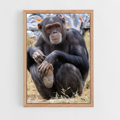 ap-chimpanzee-11 cadre Bois clair