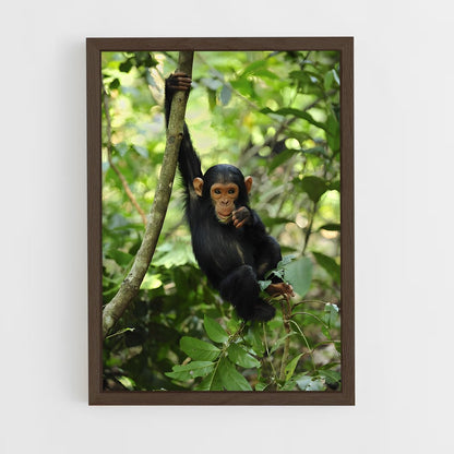 ap-chimpanzee-13 cadre Bois foncé