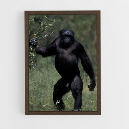 ap-chimpanzee-14 cadre Bois foncé