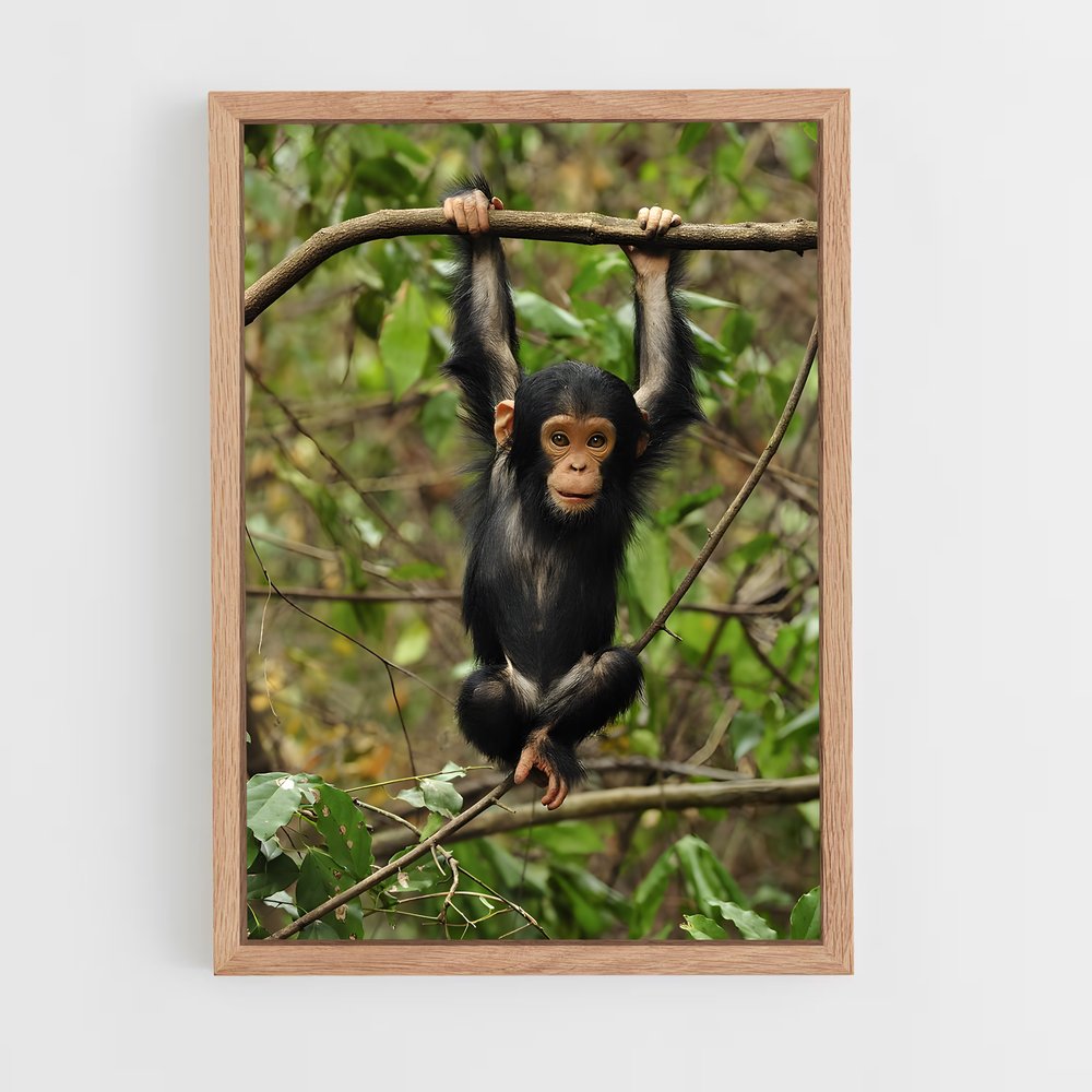 ap-chimpanzee-2 cadre Bois clair