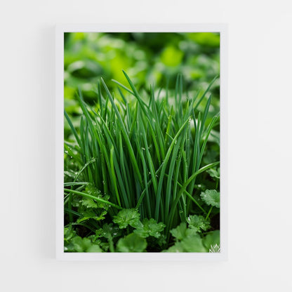 ap-chives-1 cadre Blanc