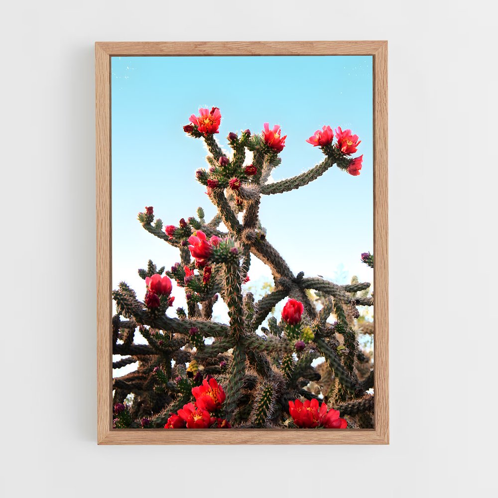 ap-cholla-1 cadre Bois clair