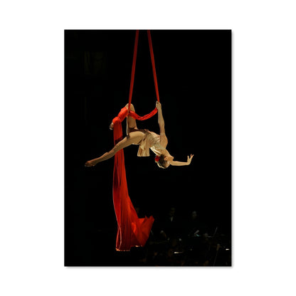 Poster La Danse des Cieux