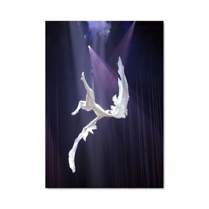 Poster Cirque du soleil 67021