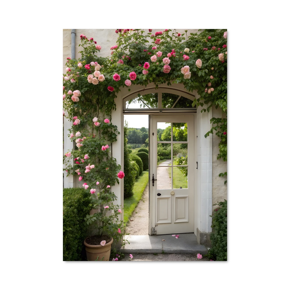 Poster Climbing rose 97030