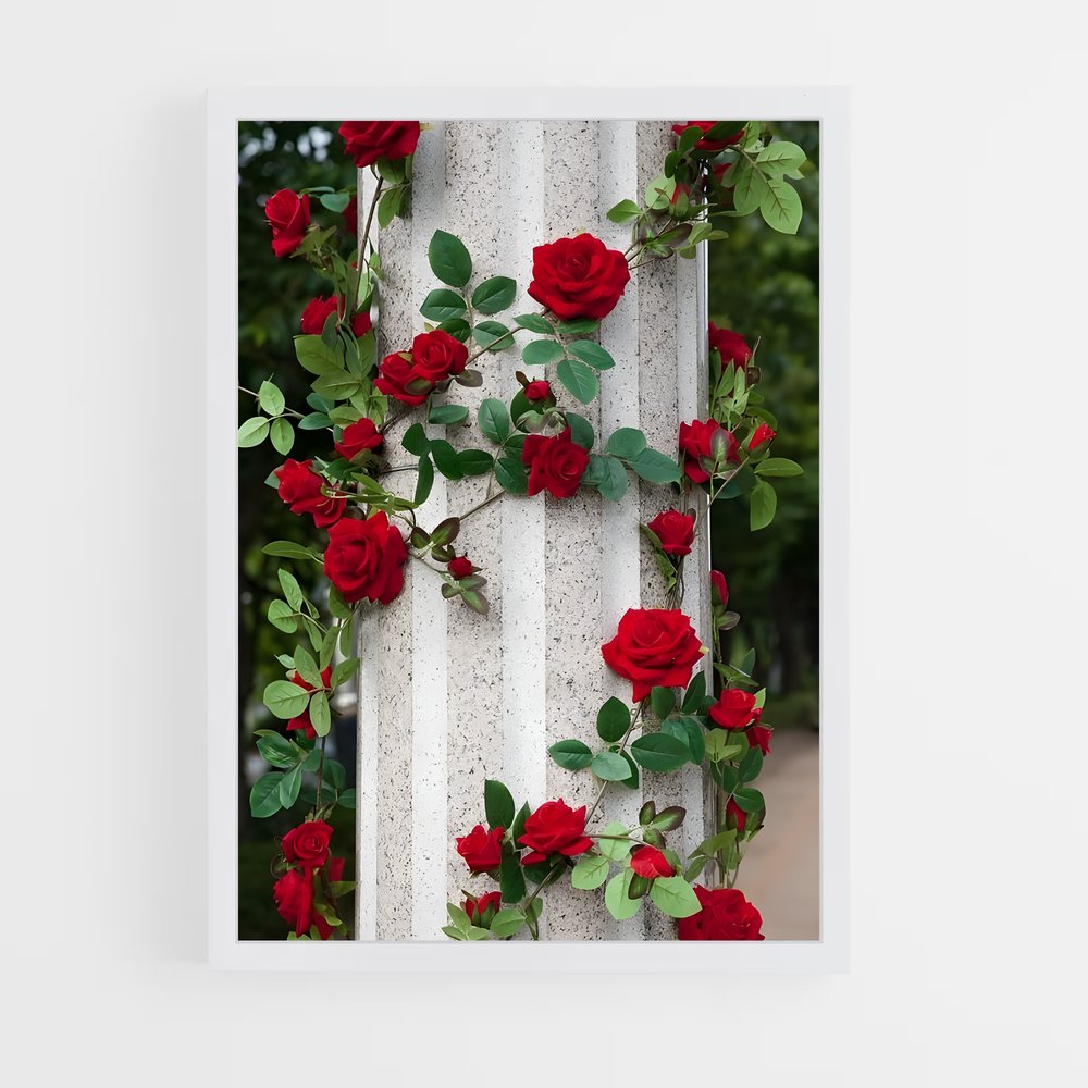 ap-climbing rose-2 cadre Blanc