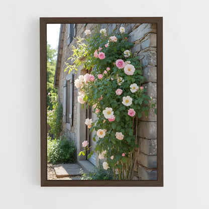 ap-climbing rose-6 cadre Bois foncé