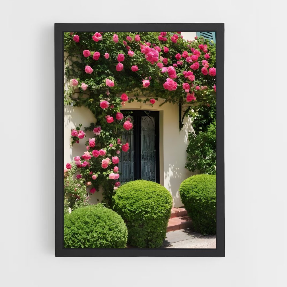 ap-climbing rose-8 cadre Noir