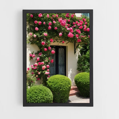 ap-climbing rose-8 cadre Noir