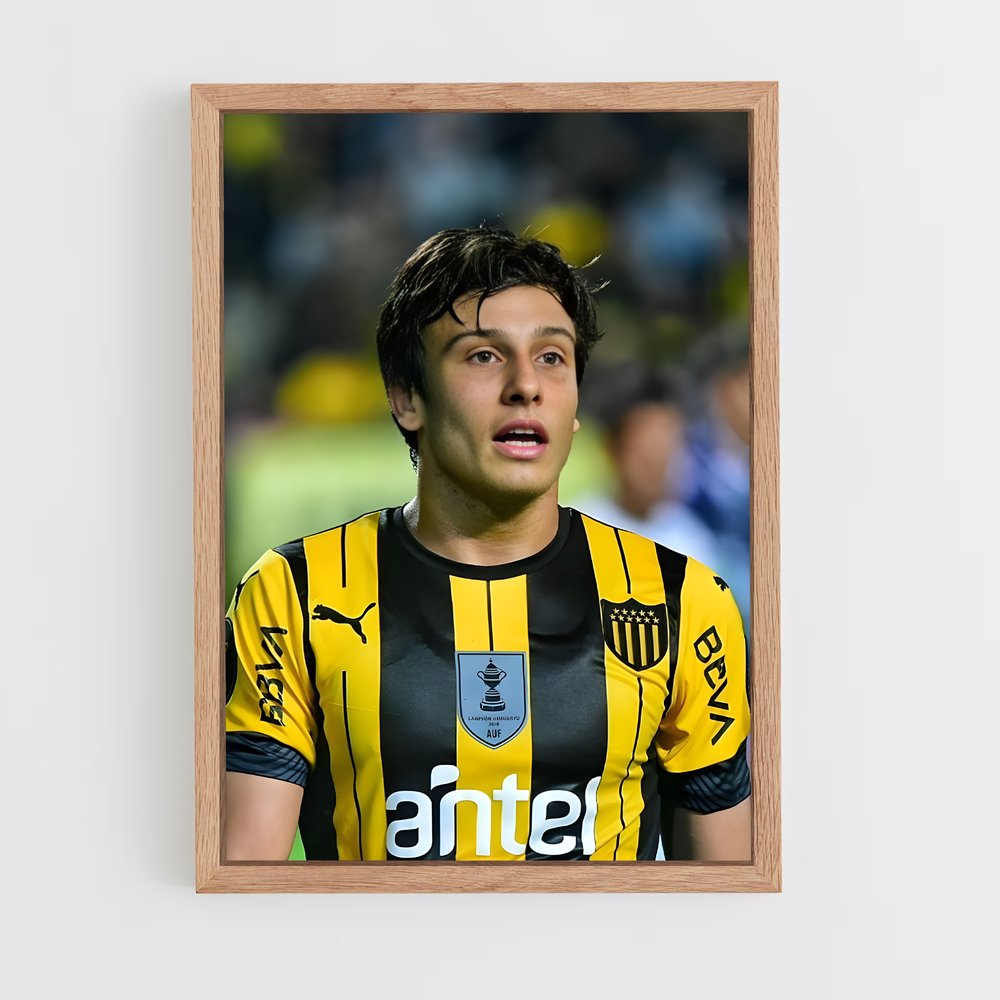 ap-club atletico penarol-1 cadre Bois clair