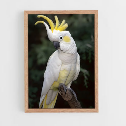 ap-cockatoo-1 cadre Bois clair