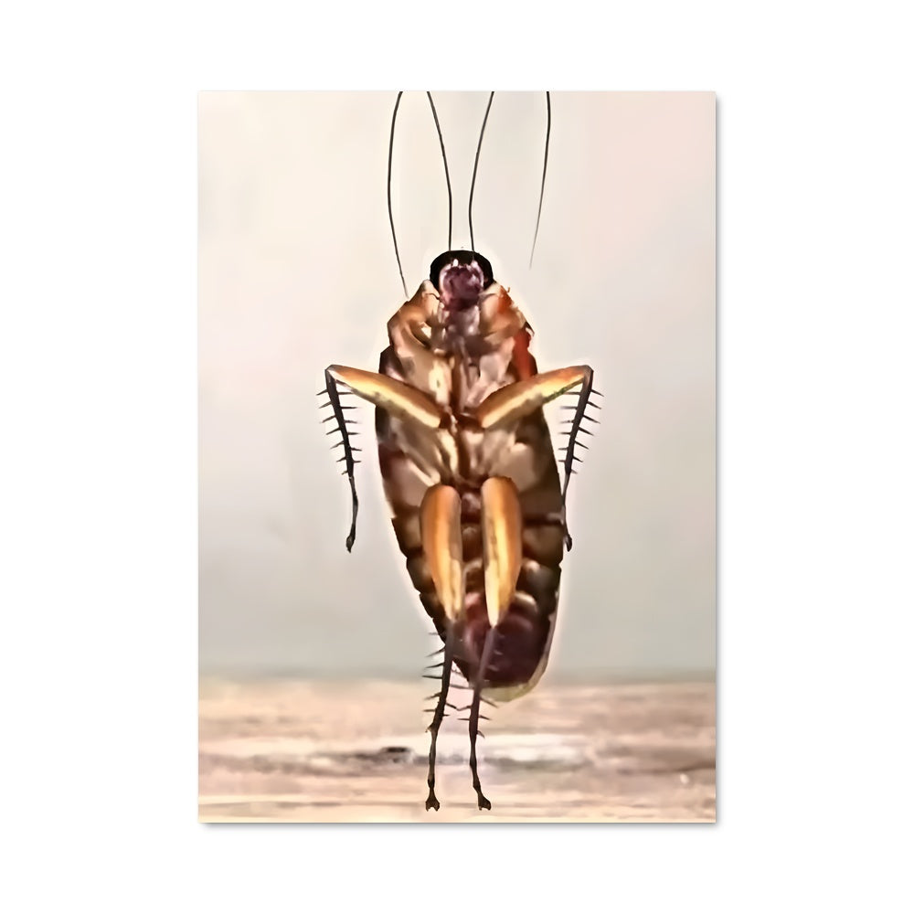 Poster Cockroach Revolution