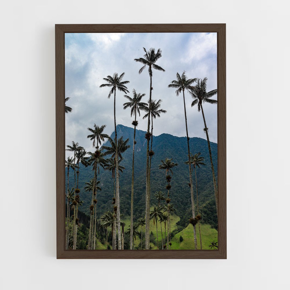 ap-cocora valley-1 cadre Bois foncé