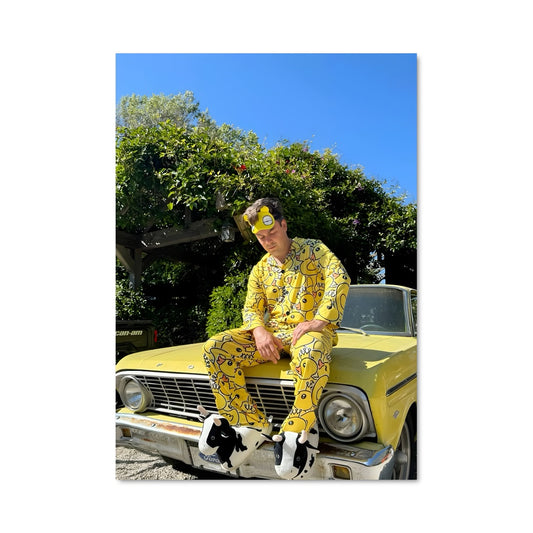 Poster Cody Ko Vibes
