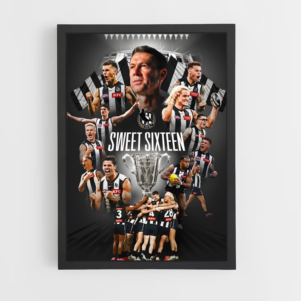 ap-collingwood magpies-6 cadre Noir