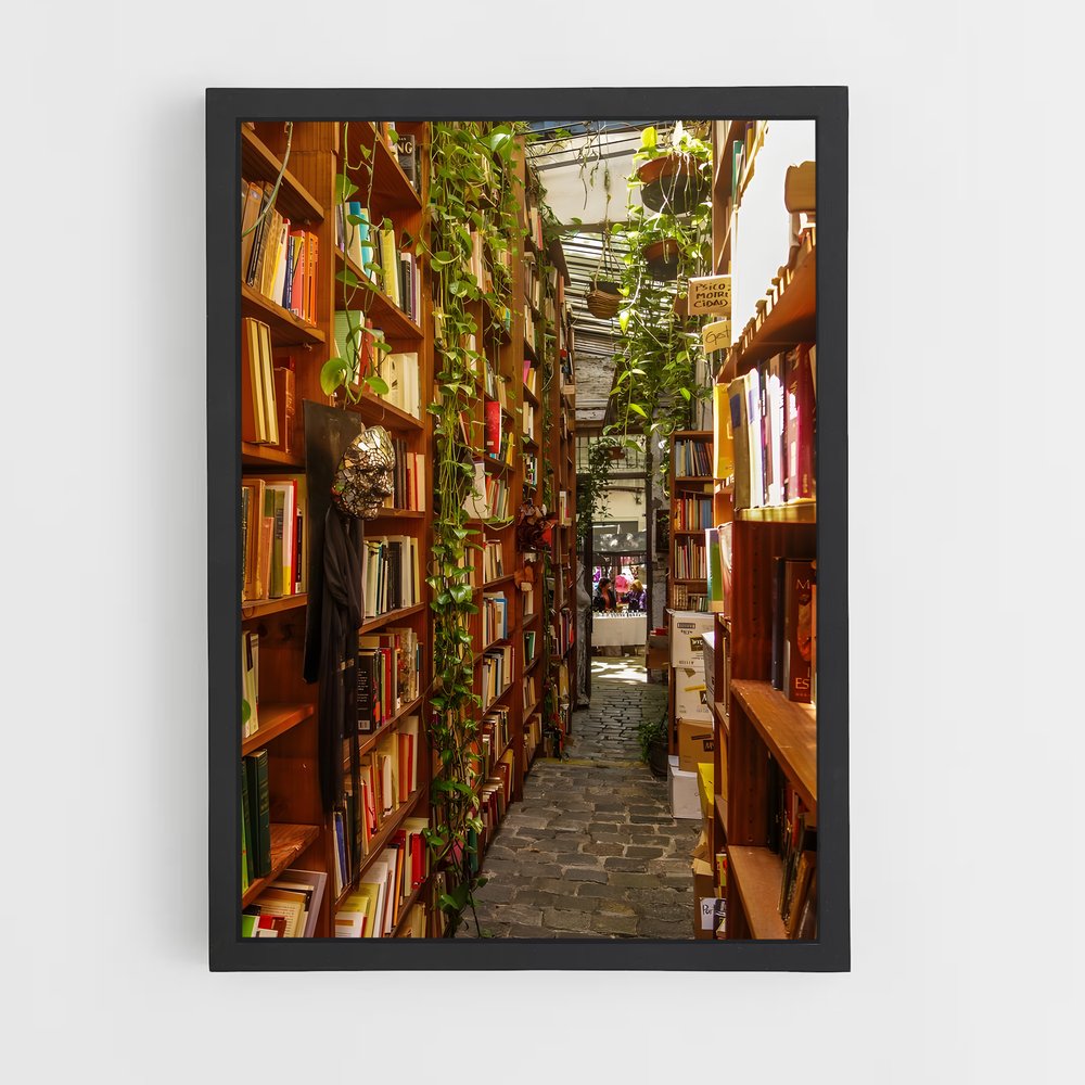ap-colonia del sacramento-1 cadre Noir