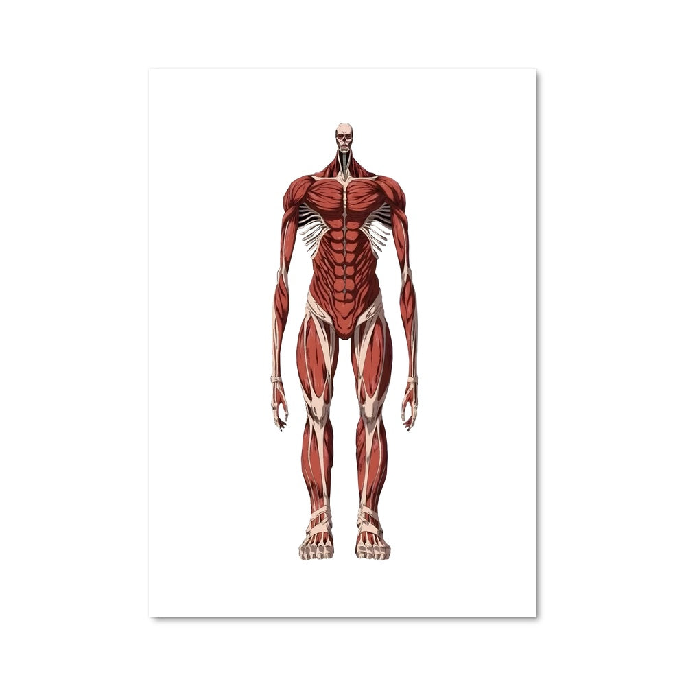 Poster Titan Muscles