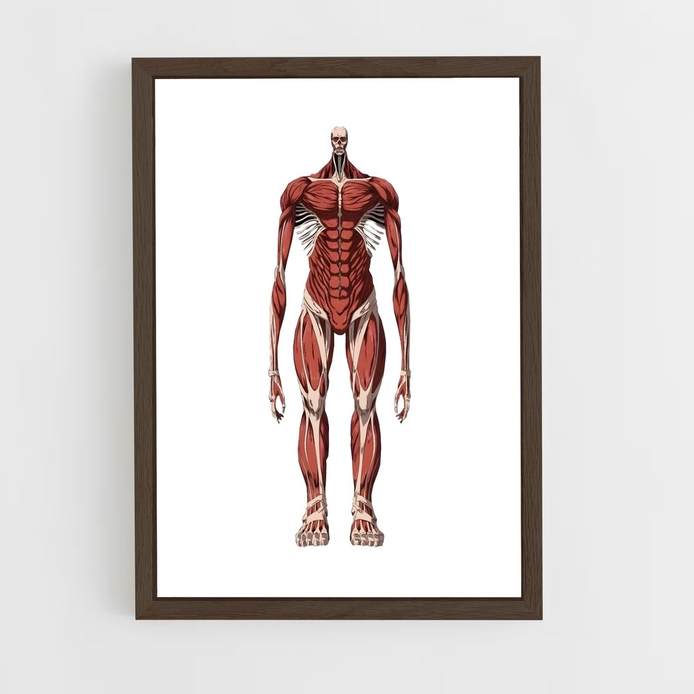 ap-colossal titan-6 cadre Bois foncé