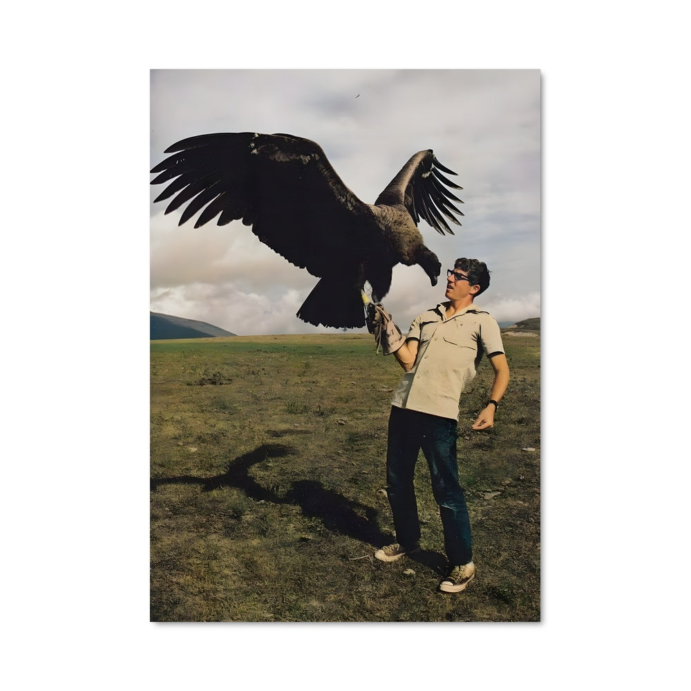 Poster L'Harmonie des Ailes