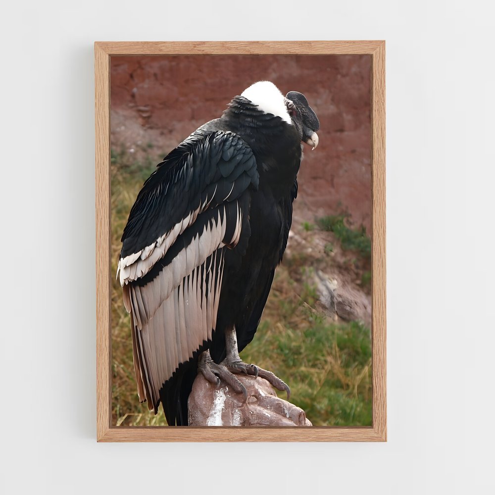 ap-condor-4 cadre Bois clair