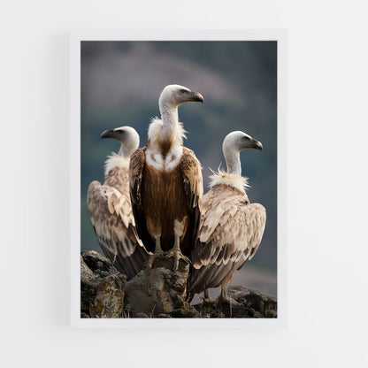 ap-condor-5 cadre Blanc