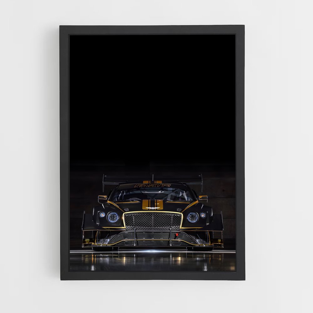 ap-continental gt3-2 cadre Noir