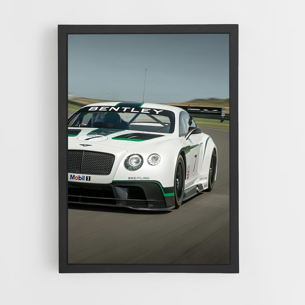 ap-continental gt3-4 cadre Noir