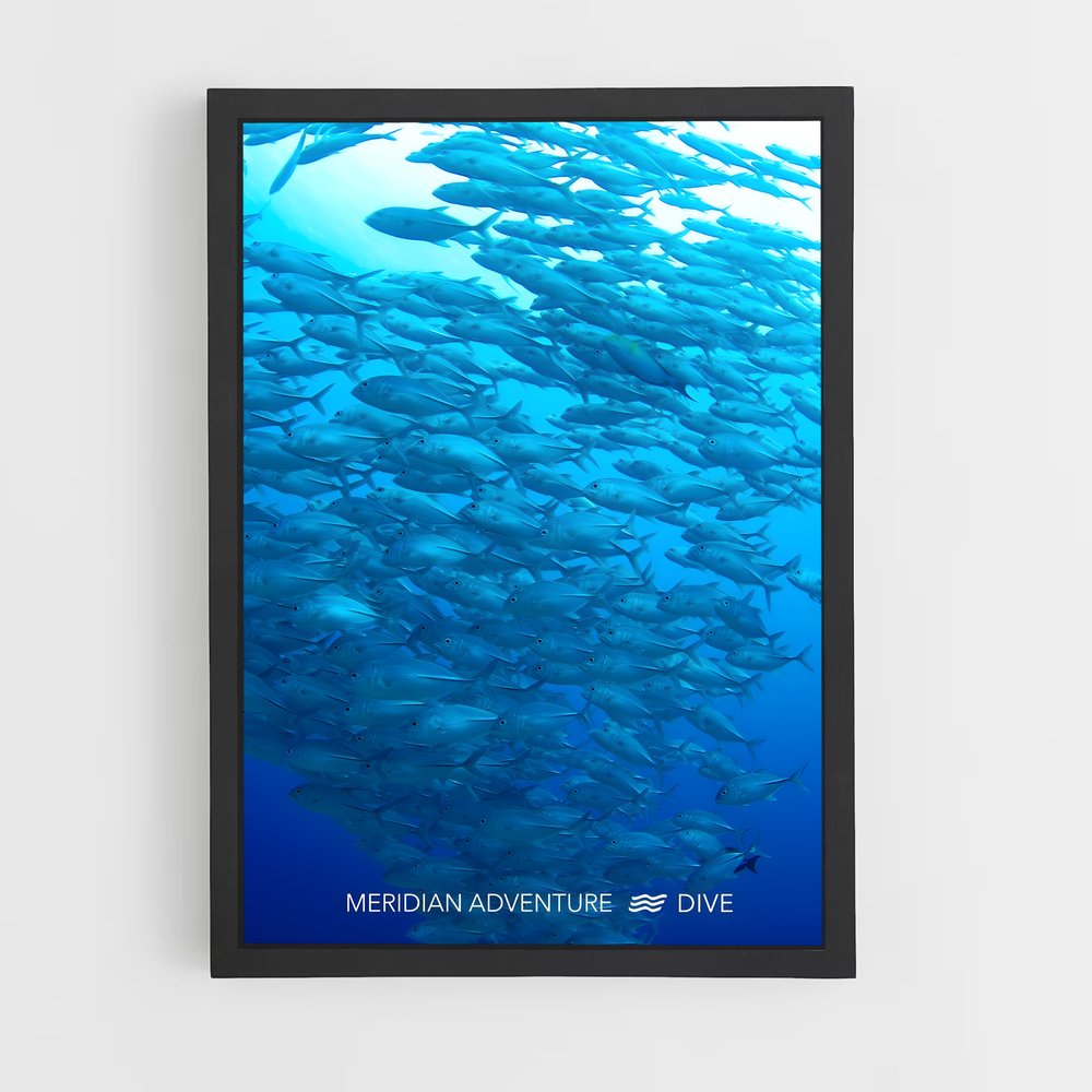 ap-coral triangle diving-1 cadre Noir