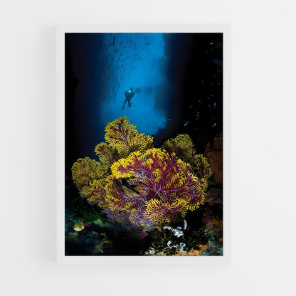 ap-coral triangle diving-2 cadre Blanc