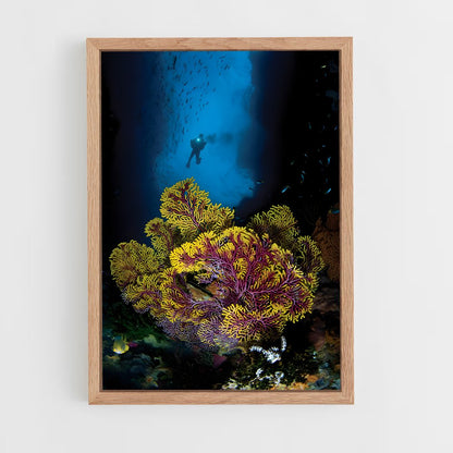 ap-coral triangle diving-2 cadre Bois clair
