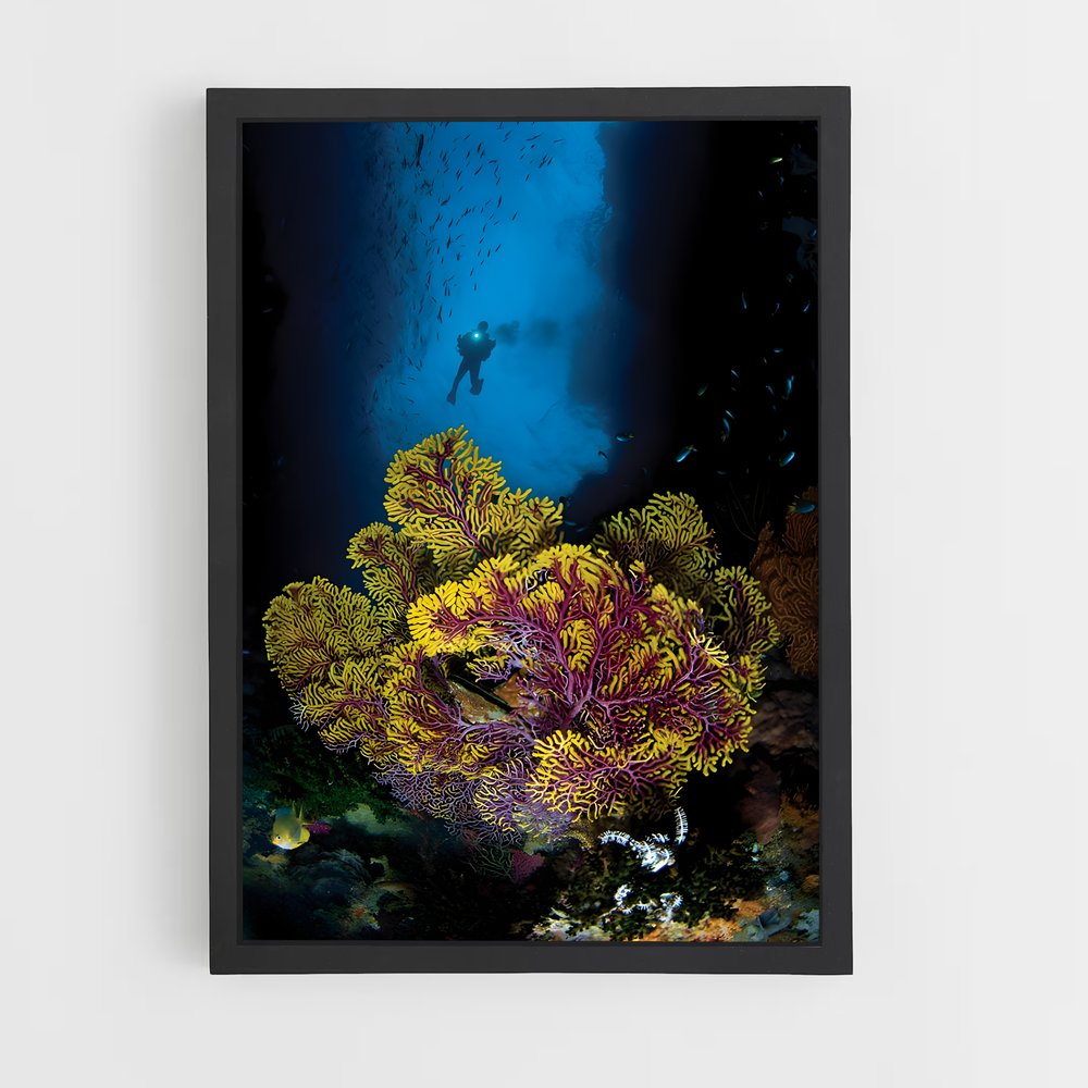 ap-coral triangle diving-2 cadre Noir