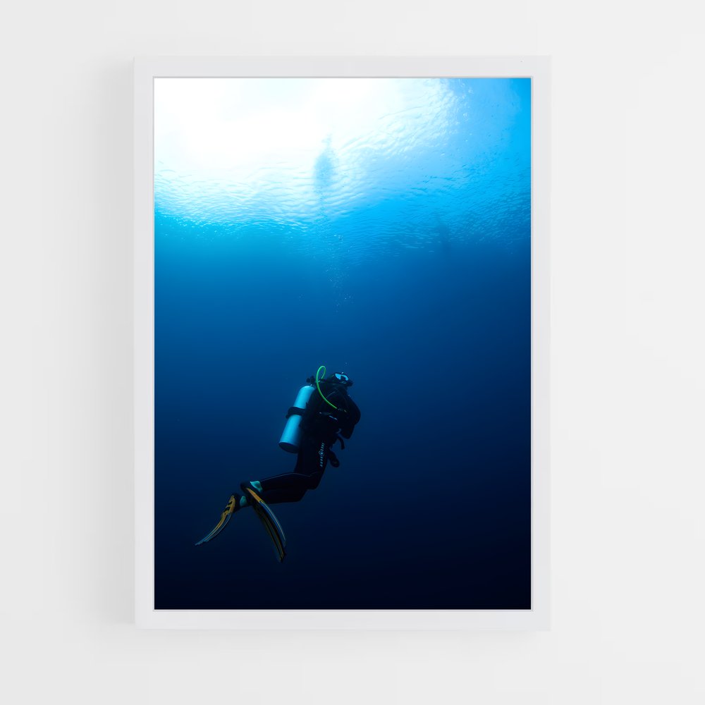 ap-coral triangle diving-5 cadre Blanc