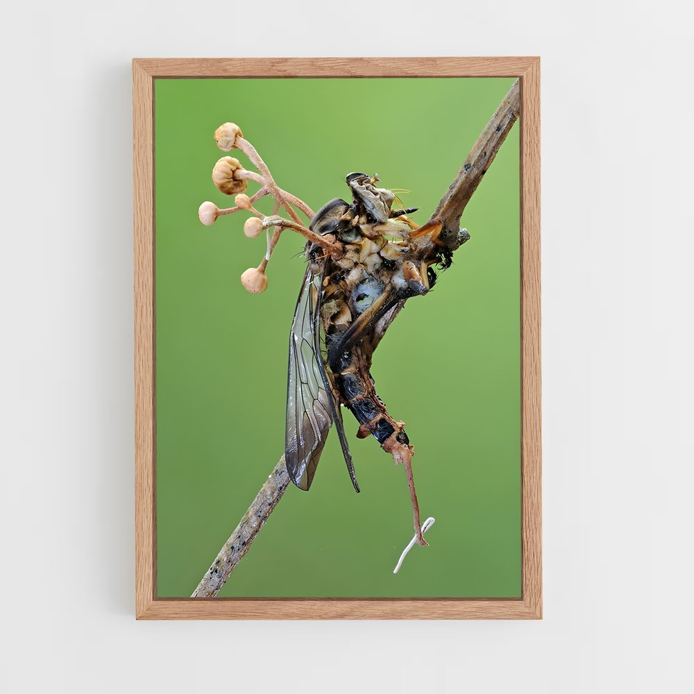 ap-cordyceps-2 cadre Bois clair