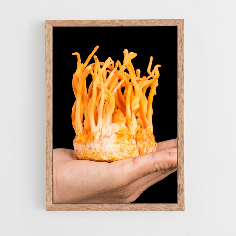 ap-cordyceps-4 cadre Bois clair