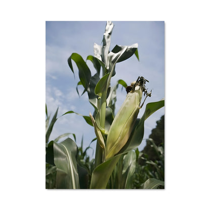 Poster Abeille en Épi