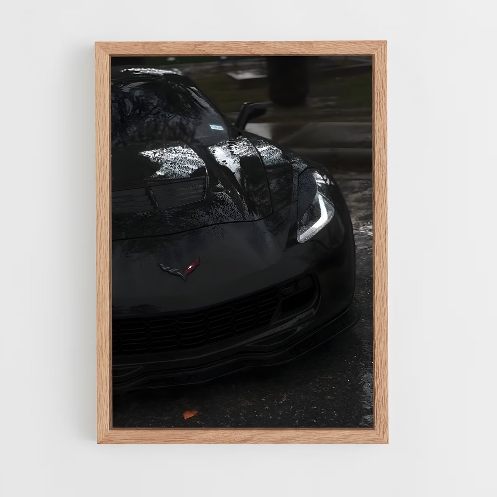 ap-corvette c7 gt3-r-1 cadre Bois clair