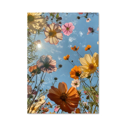 Poster Cosmos 96499