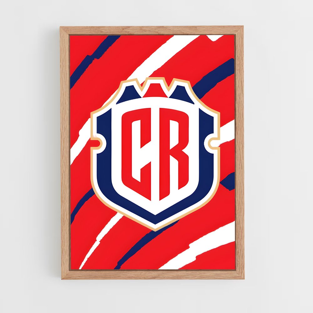 ap-costa rica national football team-2 cadre Bois clair