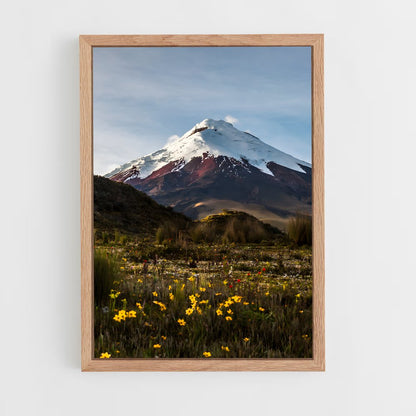 ap-cotopaxi volcano-3 cadre Bois clair