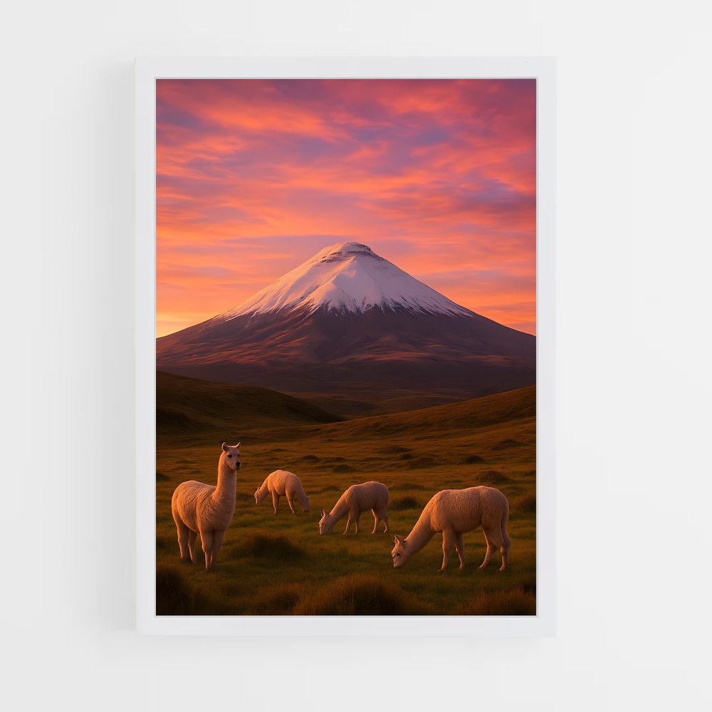 ap-cotopaxi volcano-5 cadre Blanc