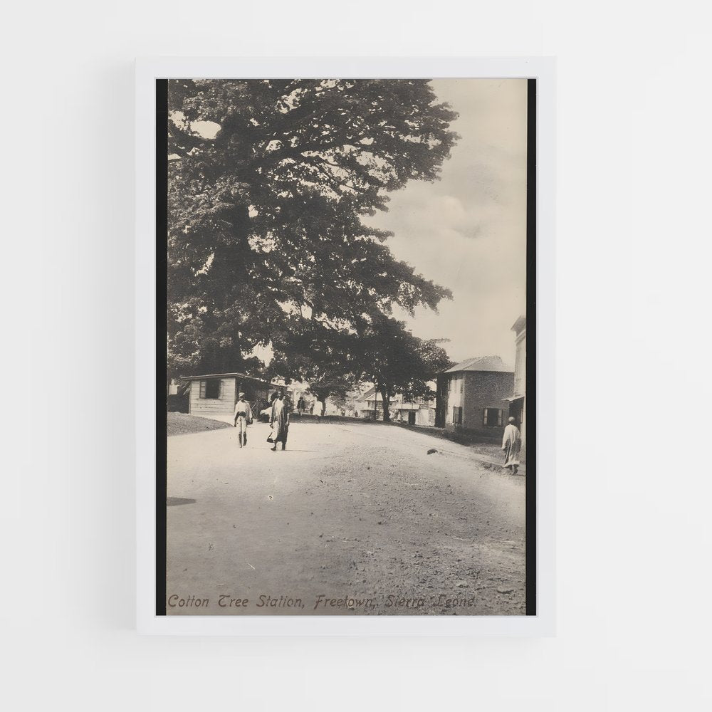 ap-cotton tree freetown-1 cadre Blanc