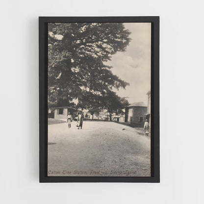ap-cotton tree freetown-1 cadre Noir