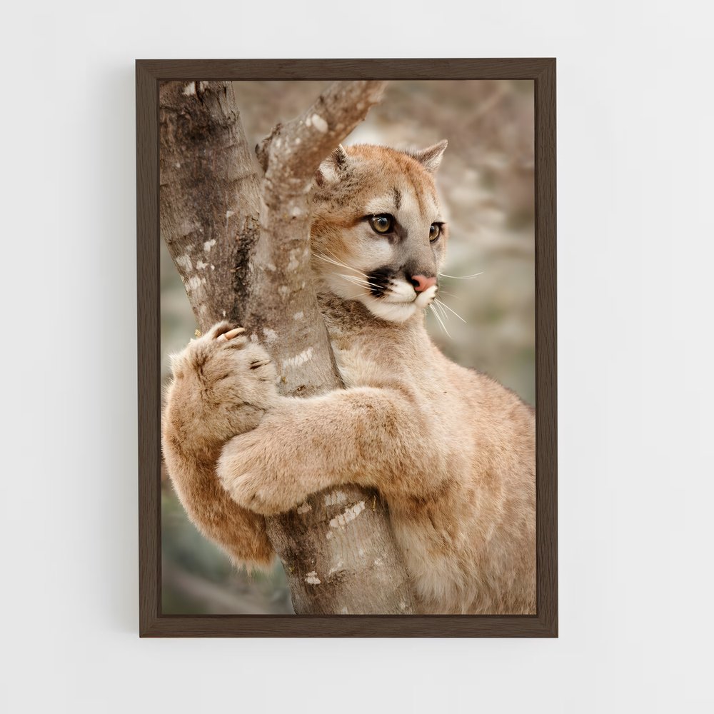 ap-cougar-4 cadre Bois foncé