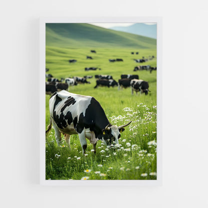 ap-cow-5 cadre Blanc