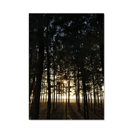 Poster Lumière des Bois